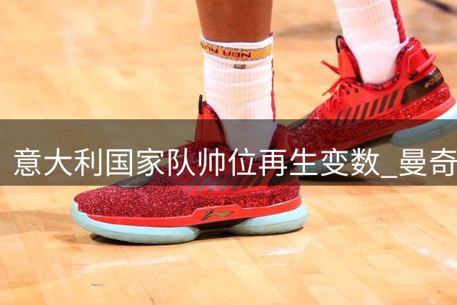 意大利国家队帅位再生变数 曼奇尼孔蒂或成最后赢家